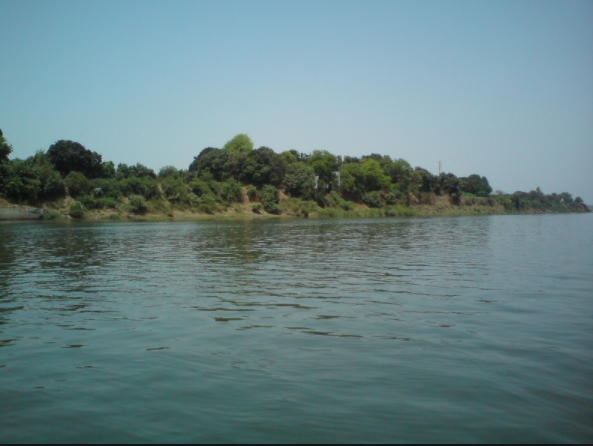 Narmada Satya Day