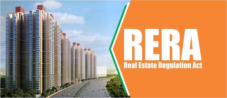 Real Estate Regulation Act Rera Satya Day