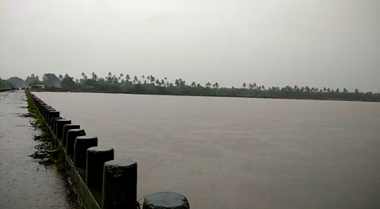 વલસાડમાં પડેલા વરસાદ પર એક ઝલક – વિડીયો Screen Shot 2017 07 18 At 1.17.05 Pm Satya Day