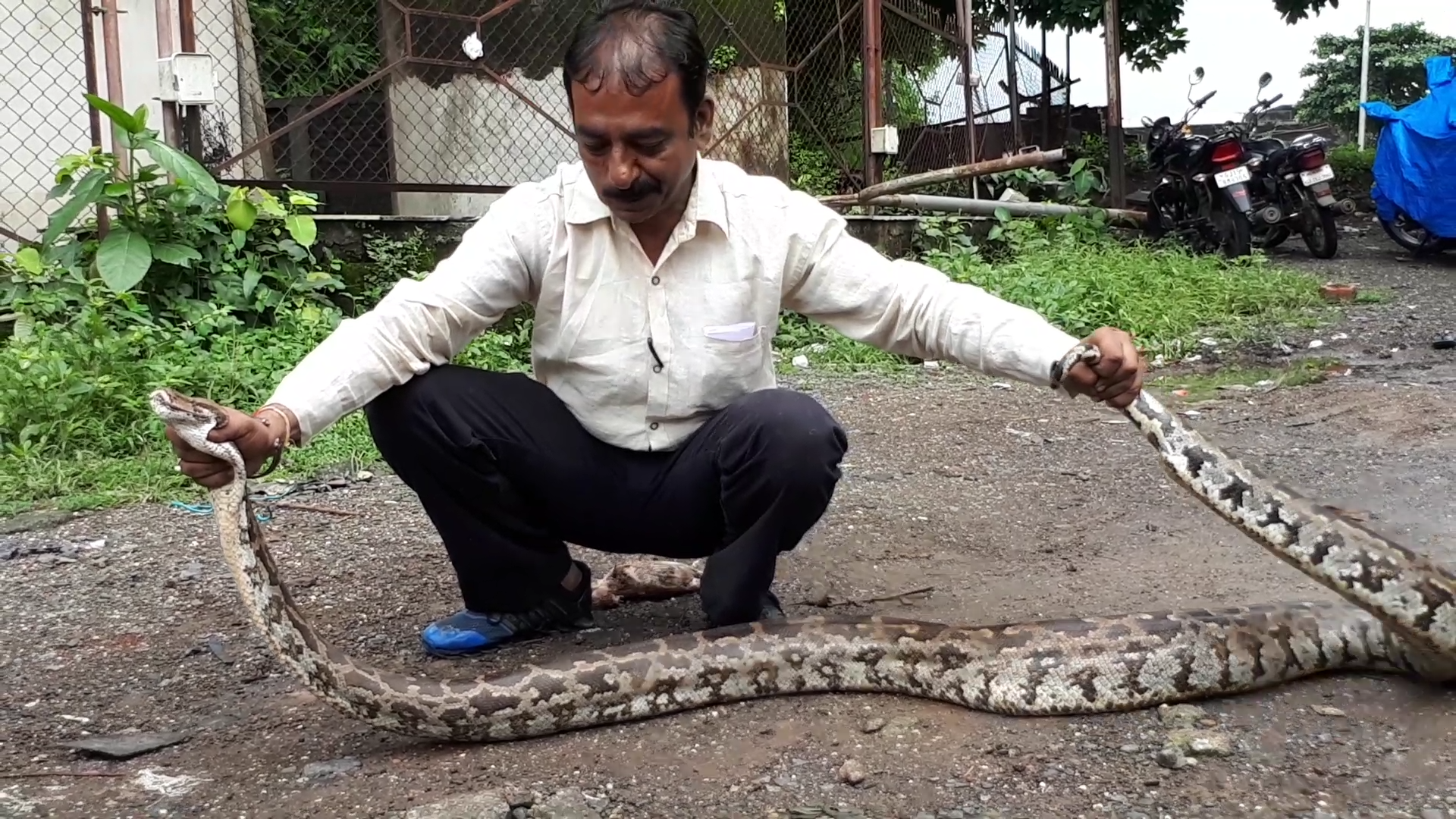 Valsad Na Tariyavad Vistarmathi Mahakay Aajgar Pakdayo 1 Satya Day