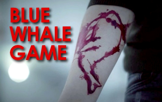 bluewhale000