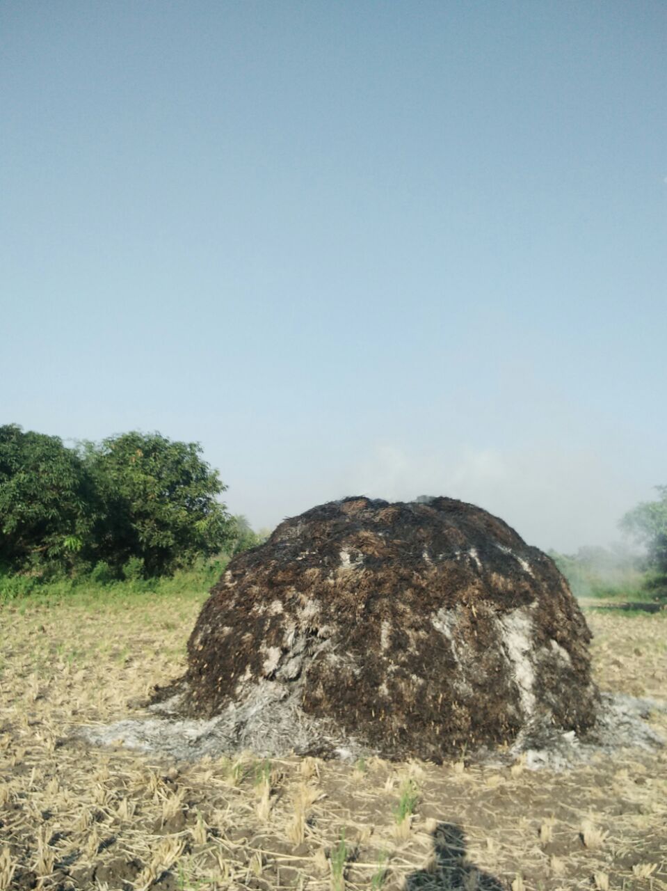 પારનેરા ગામના ખેડૂતનું અનાજ આગમા બળીને ખાક થઈ ગયું Whatsapp Image 2017 11 09 At 12.34.38 Pm Satya Day