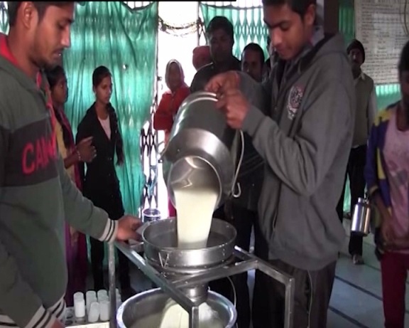 dudh mandli