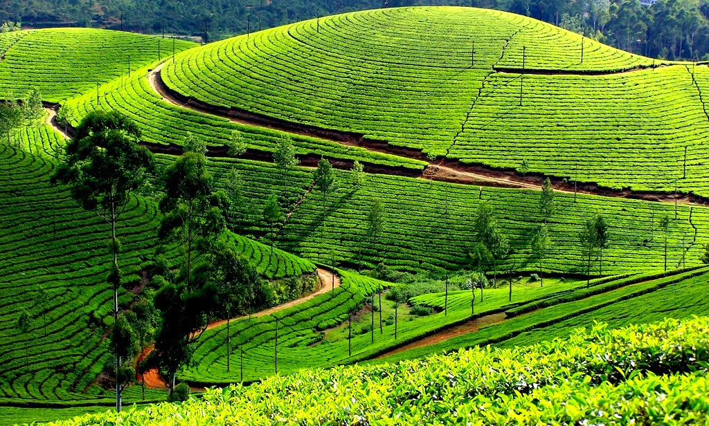 Kodaikanal Hill Station Satya Day