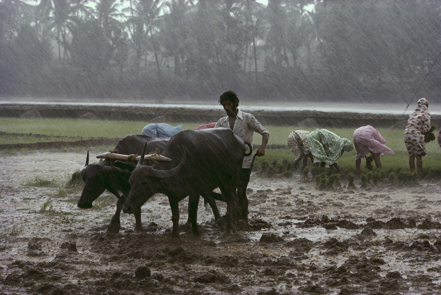bihar agriculture7 1