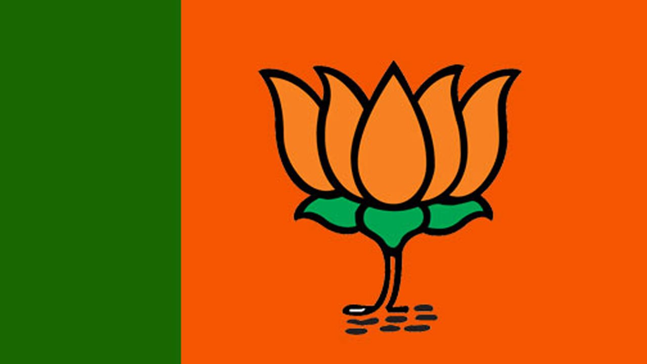 ગુજરાતમાં જીત મળી છતા ભાજપને થશે નુકસાન જાણો કેમ bjp logo 7