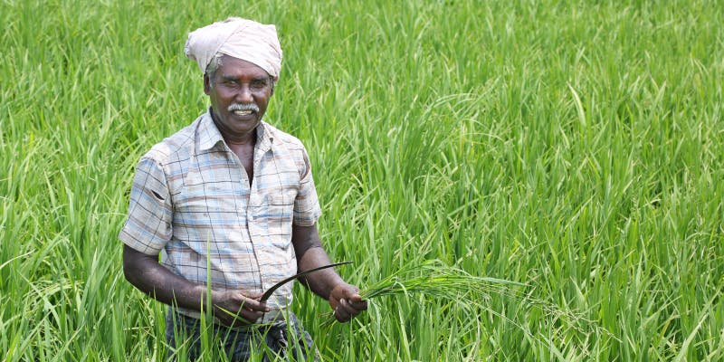 Indian farmer