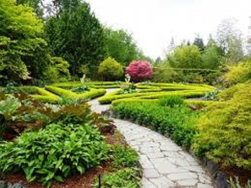 garden