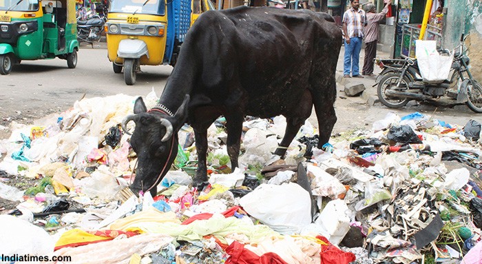 શું સ્વચ્છતા મામલે અમદાવાદ આવશે TOP 10માં? garbage ahmedabad