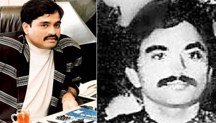 646649 chhota dwood