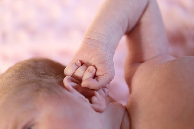 baby 1