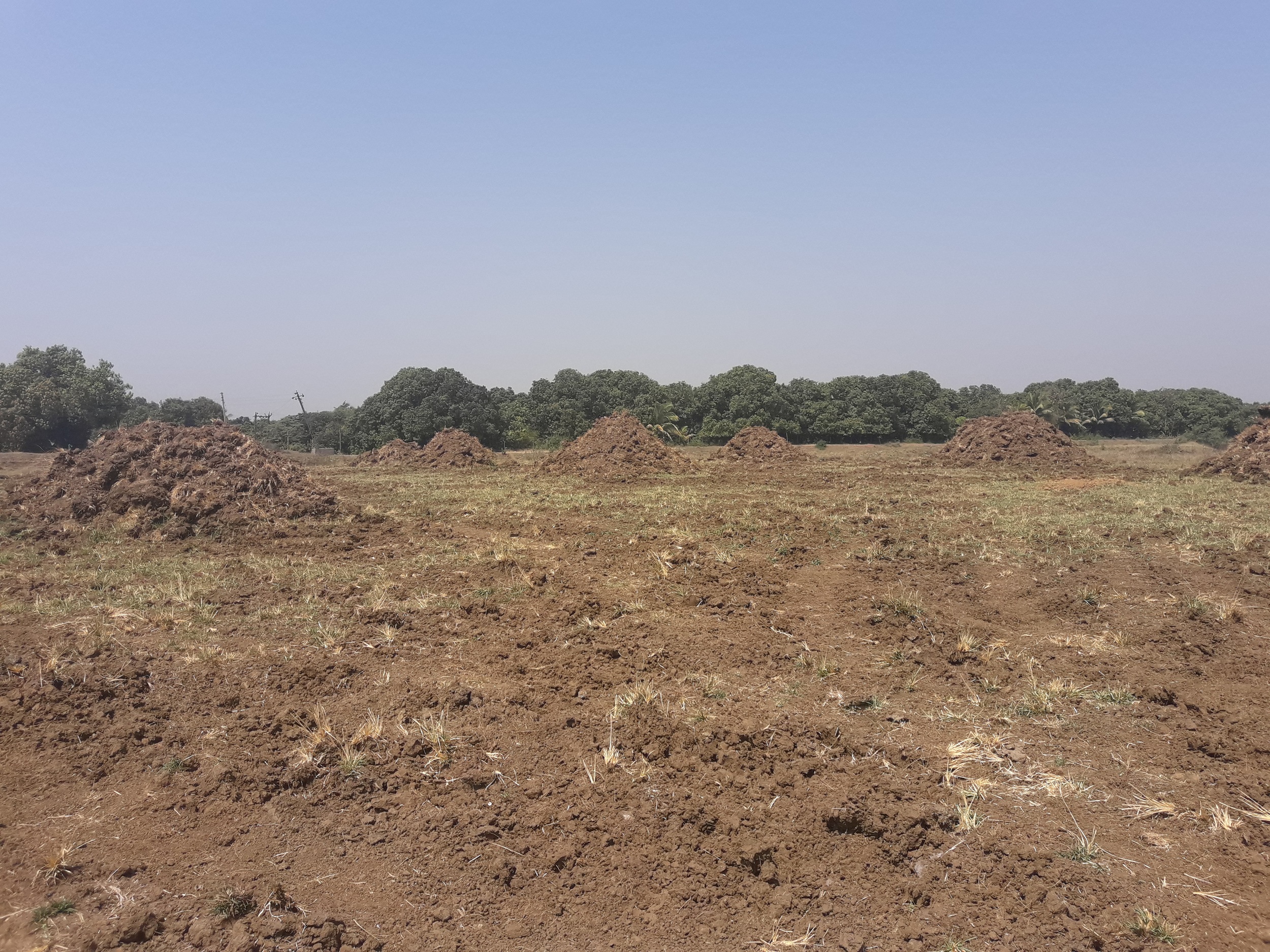 Mati Khanan Pic 2 Satya Day