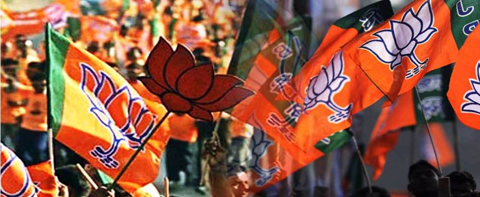 BJP Flag