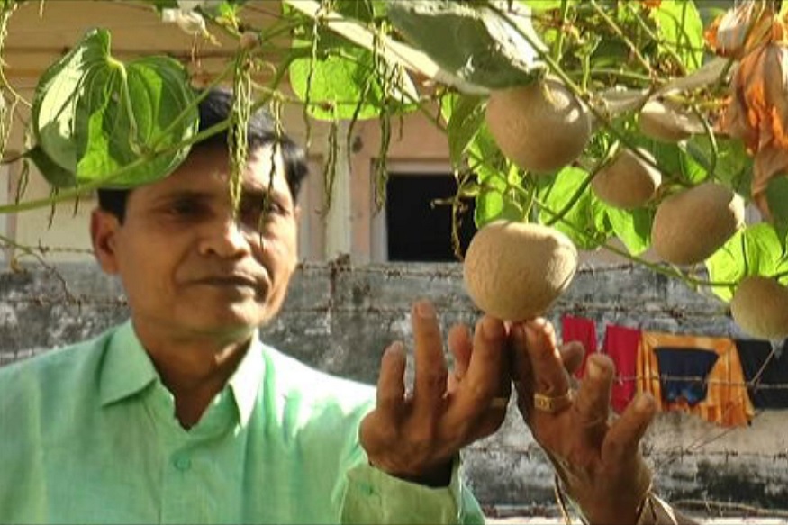 Bataka Satya Day