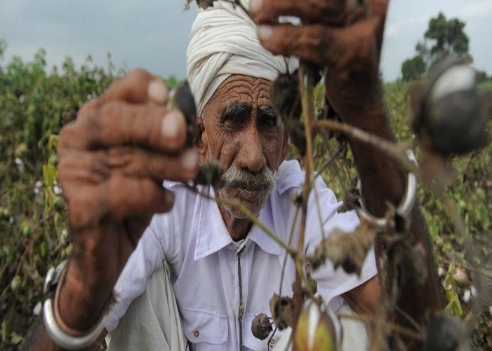 farmer