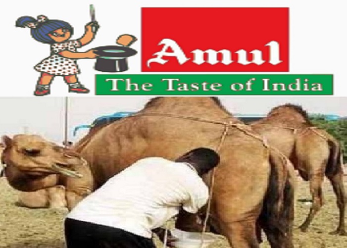 amul