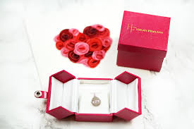 Valentine Satya Day