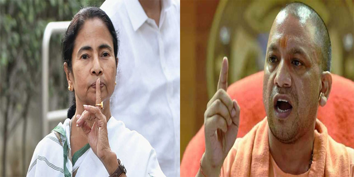 mamta yogi