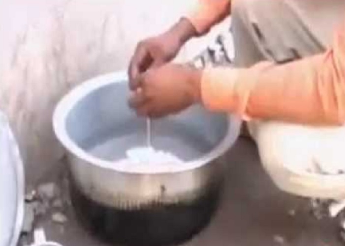 Milk Satya Day