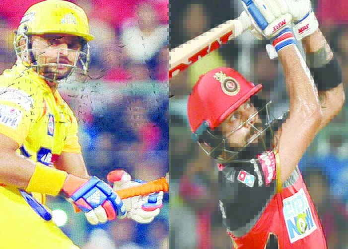 IPL TOP 5