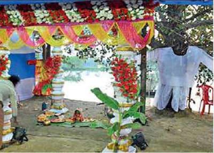 Trees Wedding Satya Day