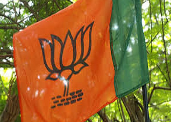 bjp 4