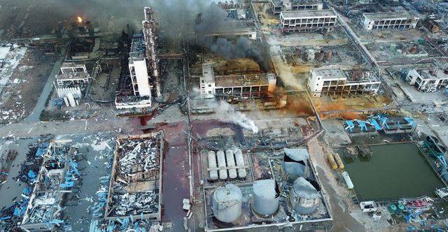 China Plant Satya Day