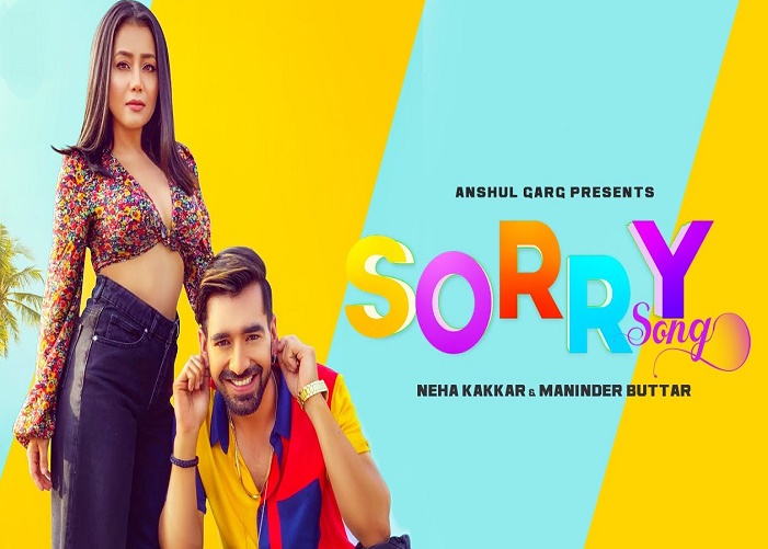 Sorry Song