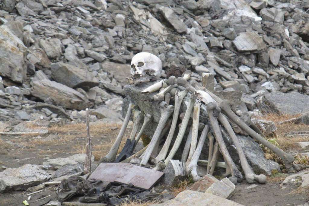 69
