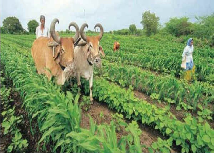 Farming 2 Satya Day