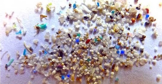 Plastic Satya Day