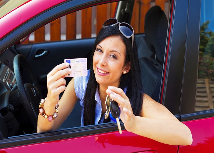Driving Licence 5
