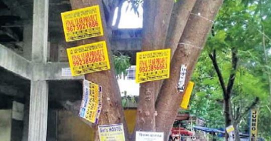 Treeee Satya Day