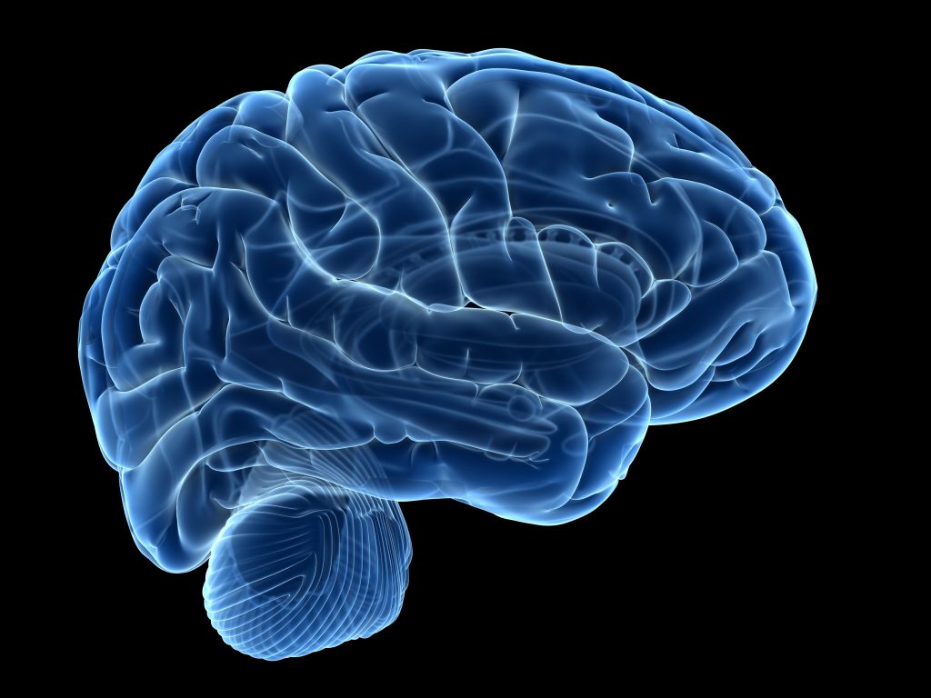 opioids brain GettyImages 539665361