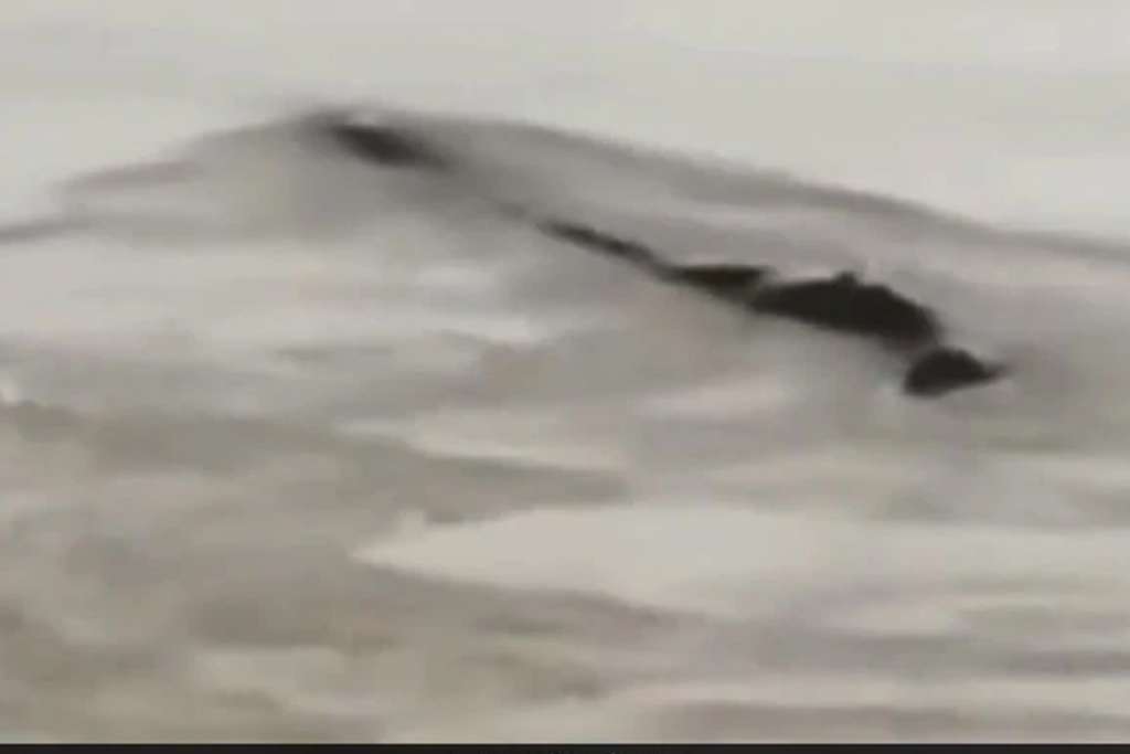 River Snake.1 Satya Day