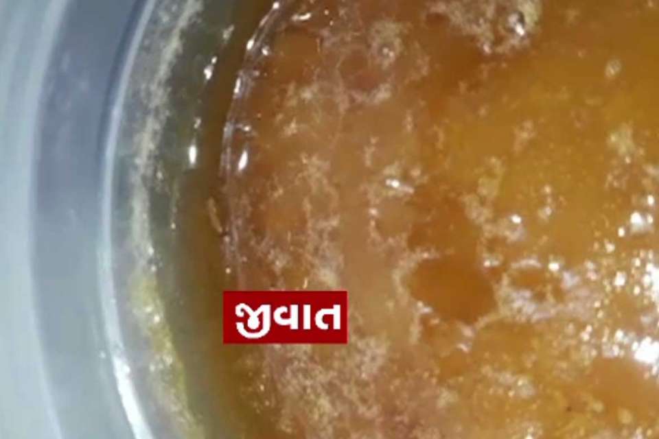Gol1 Satya Day