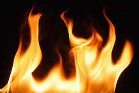 images 6