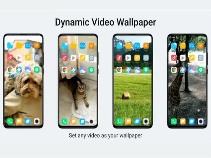 miui 11 1571301058