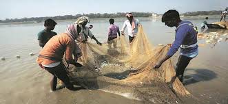 VALSAD: ફીસીંગ બોટ ની ડીઝલ સબસીડી નહિ મળતા લાભાર્થીઓ નારાજ 10 17