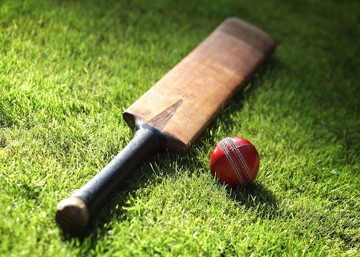 Cricket 1