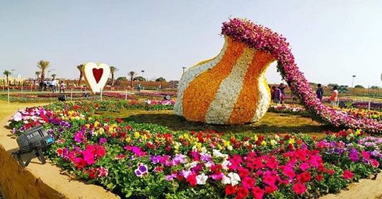 Flower Satya Day