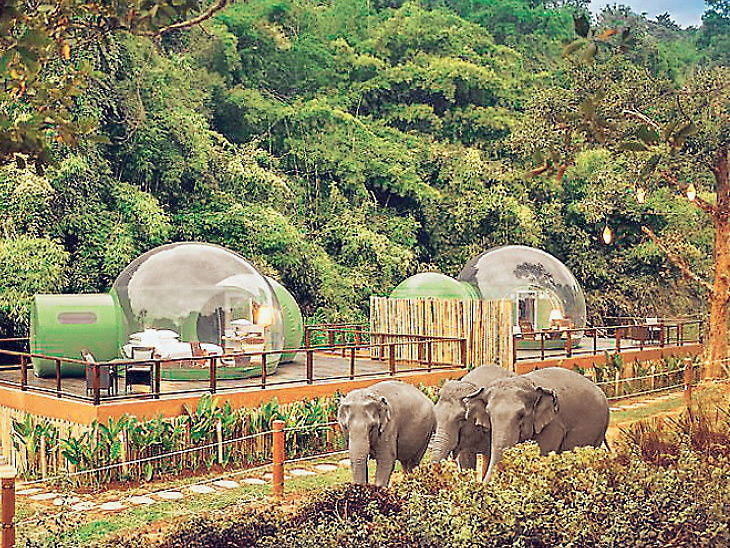 THAILAND: ચિયાંગ સેનમાં અનંતારા ગોલ્ડન ટ્રાઈએન્ગલ એલિફેંટ કેમ્પ એન્ડ રિસોર્ટમાં ટ્રાન્સપરન્ટ પોડ્સ બનાવવામાં આવ્યા 8 Satya Day