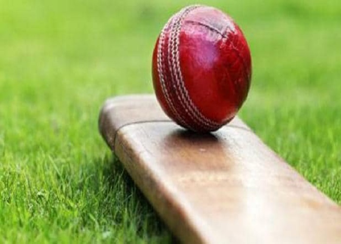 Cricket 4