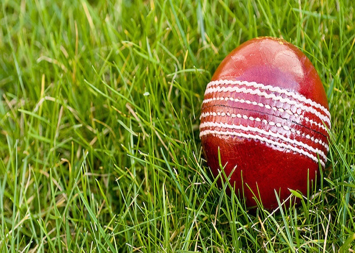 Cricket Ball Satya Day