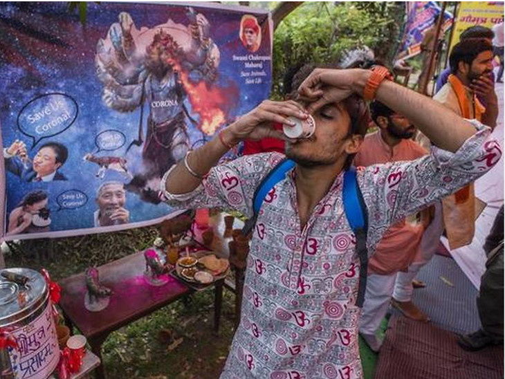 CORONA EFFECT: અફવાઓ ના લીધે ગૌમૂત્ર અને ગાયનાં છાણની ડિમાન્ડ વધી ગઈ છે 10 6