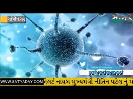 ગુજરાત માં કોરોના વાયરસ નું એલર્ટ : નાયબ મુખ્યમંત્રી નીતિન પટેલ નું મોટું નિવેદન ! 11 1 Satya Day