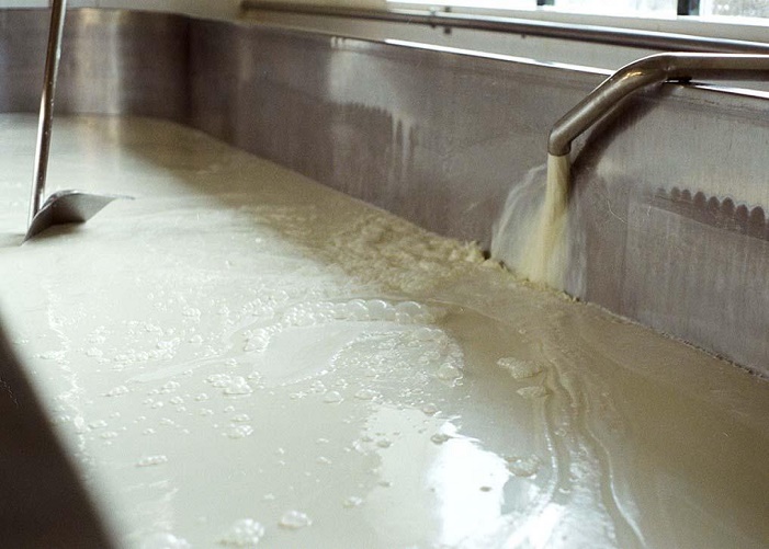 Milk
