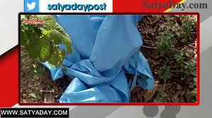 VADODARA: કોરોના મૃતક પર લપેટાયેલું પીપીટી કીટનું “ગાઉન” રઝળતી હાલતમાં મળતા હોબાળો 15 2