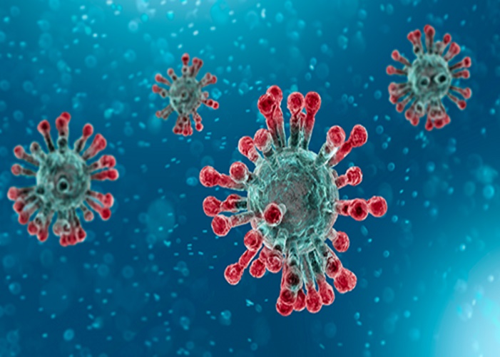 Corona Virus 4