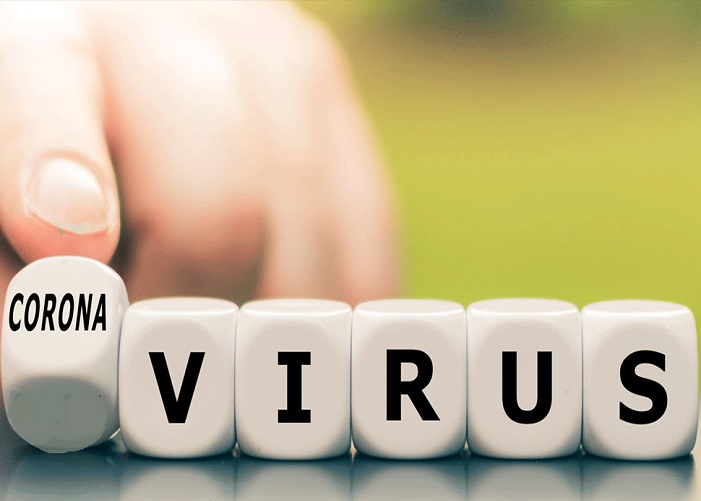 Corona Virus